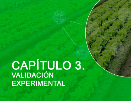CAPÍTULO 3. VALIDACIÓN EXPERIMENTAL