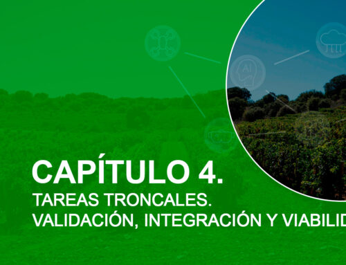 CAPÍTULO 4. TAREAS TRONCALES. VALIDACIÓN, INTEGRACIÓN Y VIABILIDAD.